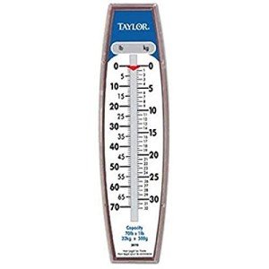 Taylor 70-Pound Hanging Scale
