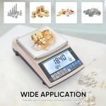 High Precision 5000g Lab Scale with RS232 Port