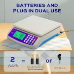 Bonvoisin 66lb Commercial Food Price Scale