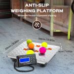 Digital Postal Scale 300kg with External LCD Display