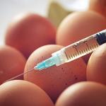 100 Pack 5ml 22Ga Disposable Plastic Syringes