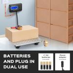 Digital Postal Scale 300kg with External LCD Display