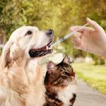 30-Pack 1ml Syringes with Caps for Labs