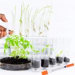 U-100 1ml 31G Lab Syringe, Pack of 25