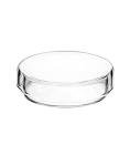 QWORK Thick Glass Petri Dishes with Lids - 5 Pack