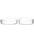 QWORK Thick Glass Petri Dishes with Lids - 5 Pack
