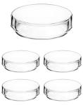 QWORK Thick Glass Petri Dishes with Lids - 5 Pack
