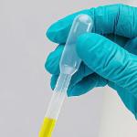 Globe Scientific LDPE Graduated Transfer Pipets, Sterile