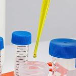 Globe Scientific LDPE Graduated Transfer Pipets, Sterile