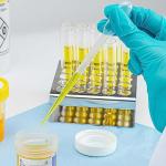 Globe Scientific LDPE Graduated Transfer Pipets, Sterile