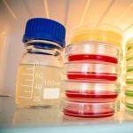 100ml Borosilicate Glass Storage Bottles - 4 Pack