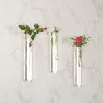 24-Piece Glass Test Tube Set with Cork Stoppers