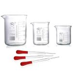 Young4us Glass Beakers & Droppers Set, 6 Pieces