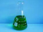 250ml Conical Erlenmeyer Flask
