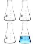 QWORK 4-Pack 250ML Borosilicate Erlenmeyer Flasks