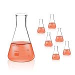 150mL Glass Conical Flask Set - Case of 6