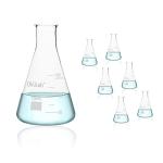 150mL Glass Conical Flask Set - Case of 6