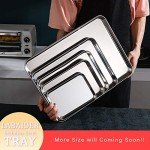 Stainless Steel Heavy Duty Tray - 2 Pack