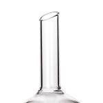 StonyLab 100ml Borosilicate Glass Buchner Funnel