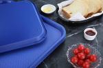 Blue Plastic Fast Food Tray Set, 10x14 Inch