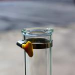 50mm Glass Extractor Tube with Stainless Steel Clamp