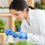 50Pcs Plastic Micro Scoops for Lab Sampling