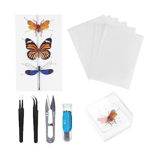 Insect Specimen Kit for Bug Enthusiasts