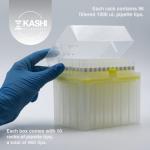 Kashi Scientific 1000 uL Sterile Pipette Tips