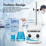 Dual Control Hot Plate Magnetic Stirrer Mixer