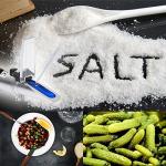 Salinity Refractometer for Accurate Sodium Chloride Measurement