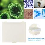 20 Prepared Microscope Slides for Biology & Pathology