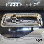 Stainless Steel 21 cm Lab Instrument Tray