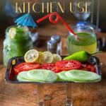 Stainless Steel 21 cm Lab Instrument Tray