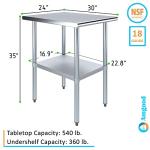 Stainless Steel Work Table with Undershelf - 24" x 30