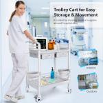 Mobile Trolley Cart with 2 Shelves and Drawers