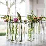 25PCS Clear Plastic Test Tubes with Lids