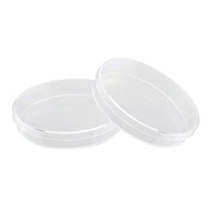10 Pack Plastic Petri Dishes with Lid