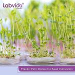 20 Pack Sterile Plastic Petri Dishes with Loops