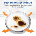 90mm Glass Petri Dishes with Lids - 10 Pack