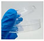 10 Pack Plastic Petri Dishes with Lid