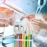 30Pcs Solid Rubber Stoppers in 3 Sizes