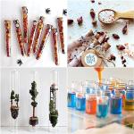 15Pcs 3ml Plastic Test Tubes with Lids