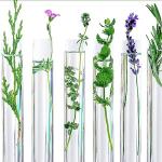 15Pcs 3ml Plastic Test Tubes with Lids