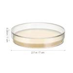 10 Pack Pre-Poured Nutrient Agar Petri Dishes