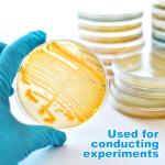 10 Pack Pre-Poured Nutrient Agar Petri Dishes