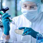 10 Pack Pre-Poured Nutrient Agar Petri Dishes