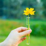 Temedon Plastic Test Tubes with Caps - 100 Pack