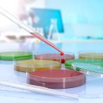 10 Pack Plastic Petri Dishes with Pipettes