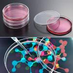 10 Pack Plastic Petri Dishes with Pipettes