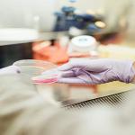 10 Pack Plastic Petri Dishes with Pipettes